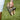 Footwear Collection