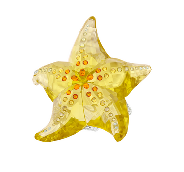 SWAROVSKI IDYLLIA SCS STARFISH