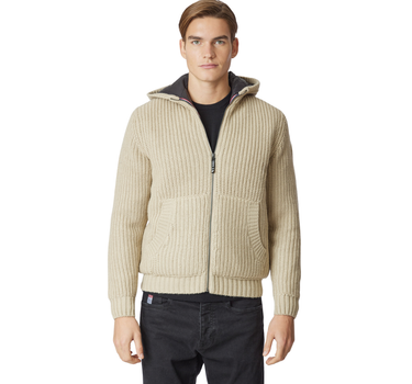 US POLO ASSN MEN WREN HOODY