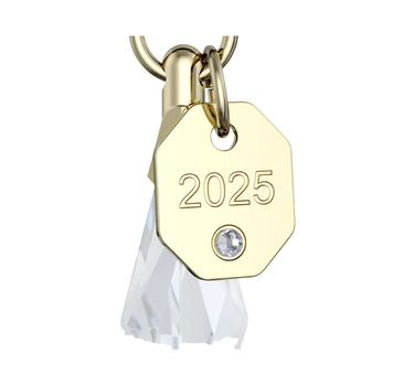SWAROVSKI ANNUAL EDITION 3D ORNAMENT SET 2025