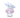 SWAROVSKI - 2026 CAPSULE:MUSHROOM AND BUTTERFLY