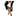 PRIMADONNA WOMEN DECOLLETE PUMPS