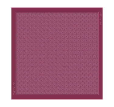 US POLO ASSN WOMEN NEW HAMPTON SCARF