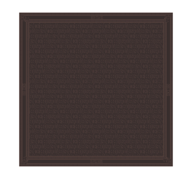 US POLO ASSN WOMEN MEGEVE SCARF