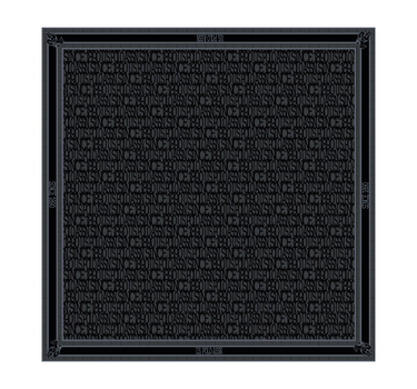 US POLO ASSN WOMEN MEGEVE SCARF