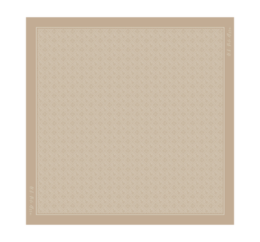 US POLO ASSN WOMEN NEW HAMPTON SCARF